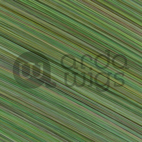 Clip-in Extension CLASSIC CL-001 to CL-050